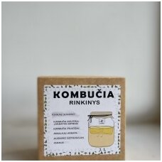 Making Kombucha at Home: Instruction From Scratch