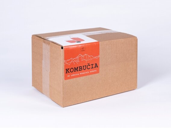 KOMBUCHA "CLASSIC" FLAVOR BOX 12 pcs. 2
